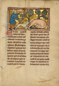 Un cacciatore e un castoro