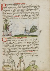 Un re in trono che parla a un pavone; un pastore che uccide un ariete; un pastore con un bastone e un coltello davanti a due capre da Unknown artist