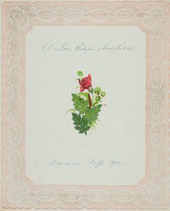 Un amore saldo (San Valentino)