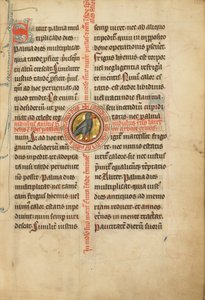 Un medaglione con una tortora da Unknown artist
