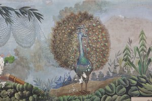 Un pavone (dettaglio) da Unknown artist