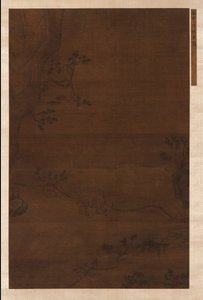Bufalo d