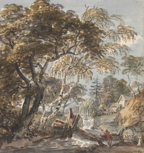 Un ruscello nel bosco con pescatore