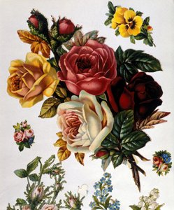 Un mazzo di rose. Cromolitografia del XIX secolo
