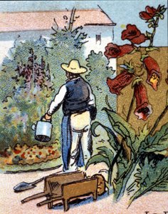 Un giardiniere, cromolitografia da Unknown artist