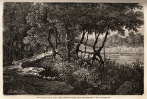 Un ponte sospeso nel Terai (