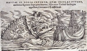 Una balena confusa con un