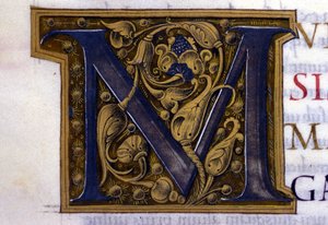 Alfabeto: lettera miniata M da Unknown artist