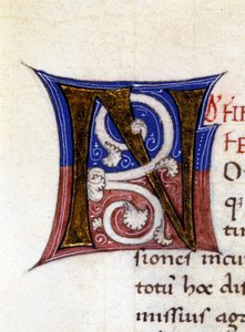 Alfabeto: lettera miniaturizzata N da Unknown artist
