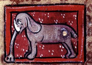 Un elefante - bestiario del XIV secolo. Milano, Biblioteca Trivulziana da Unknown artist