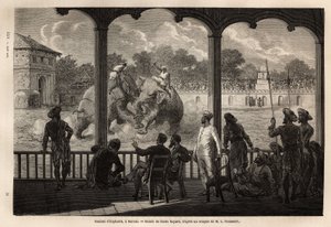 Una lotta tra elefanti, a Baroda (o Vadodara), stato del Gujarat sulla costa nord-orientale dell