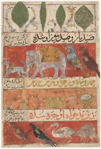 Animali, Uccelli e Piante (verso) da Mu