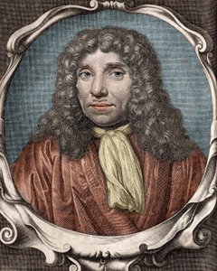 Anthony Van Leeuwenhoek o Anton van Leeuwenhoek, o Leeuvenhoek, o Leeuwenhoeck. Naturalista olandese (1632-1723). Incisione del XVIII secolo da Unknown artist