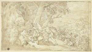 Apollo Scuoia Marsia da Unknown artist