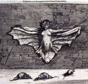 Pipistrelli e ratti. "De China Monumenta" di Athanasius Kircher da Unknown artist