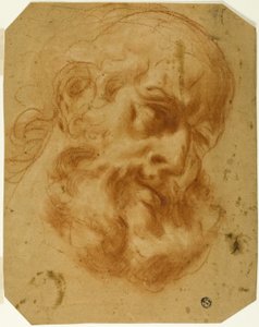 Testa Barbuta da Unknown artist