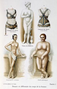 Bellezza e deformità del corpo femminile (magrezza e obesità); cinture di Giunone - in La donna, medico di casa da Unknown artist