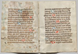 Bifolio di un Libro d