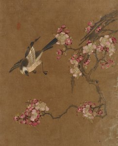 Uccelli e Fiori da Unknown artist