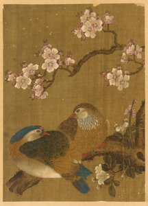 Uccelli e fiori di prugno da Unknown artist