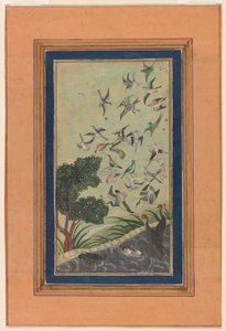 Uccelli a Baran, possibilmente dal Babur-nama