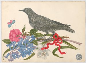 Uccello nero con fiori, farfalla e nastro rosso