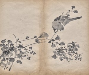 Fiori