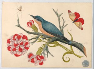 Uccello azzurro su ramo con garofani e insetti da Unknown artist
