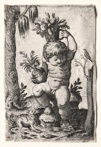 Ragazzo con cesto di frutta da Unknown artist