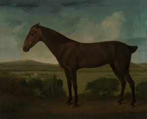 Cavallo marrone in un paesaggio collinare da Unknown artist