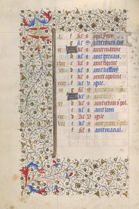 Pagina del calendario