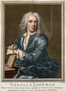 Carl Von Linné naturalista e scrittore svedese (1707 - 1778)
