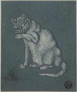 Gatto che lecca la zampa da Unknown artist