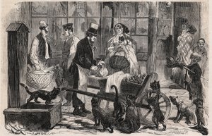 Il venditore di carne per gatti in una strada del quartiere di Westminster a Londra, un venditore ambulante di carne di cavallo per cani e gatti - Incisione in "The Illustrous World" da Unknown artist