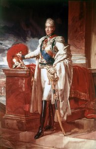 Carlo X (1757 - 1836). Napoli. Museo Nazionale di Capodimonte da Unknown artist