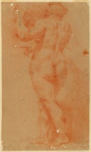 Studio in controprova di una donna nuda da Unknown artist