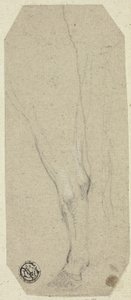 Gamba di mucca da Unknown artist