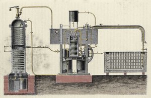 Taglio dell