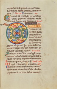 Iniziale D decorata