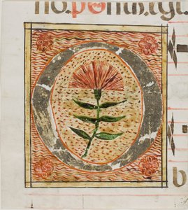 Iniziale "O" decorata con fiori da un manoscritto