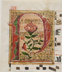 Iniziale "P" decorata con fiori da un manoscritto