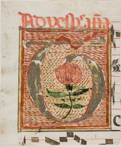 Iniziale "T" decorata con fiore da un manoscritto da Unknown artist