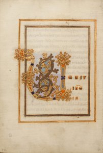 Iniziale decorata V