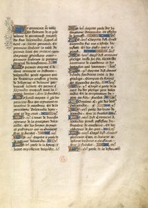 Pagina di testo decorata da Unknown artist
