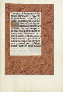Pagina di testo decorata