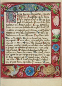 Pagina di testo decorata da Unknown artist