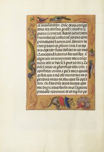 Pagina di testo decorata da Unknown artist