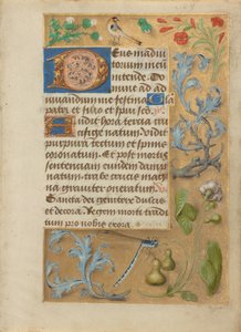 Pagina di testo decorata da Unknown artist