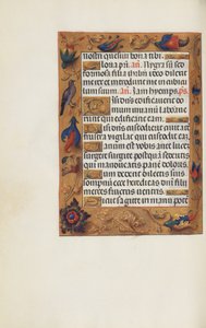 Pagina di testo decorata da Unknown artist