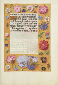 Pagina di testo decorata da Unknown artist